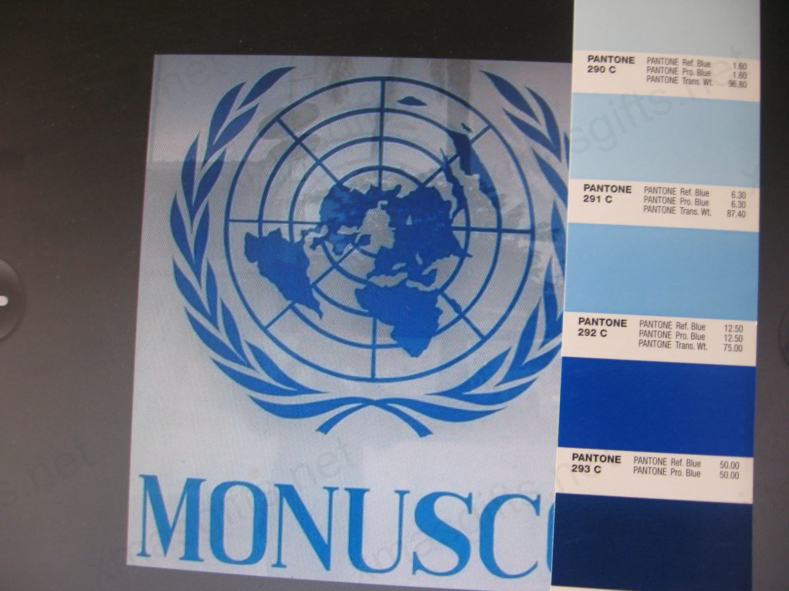 Le logo de la MONUSCO et le nuancier de couleurs Pantone s’affichent à l’écran.