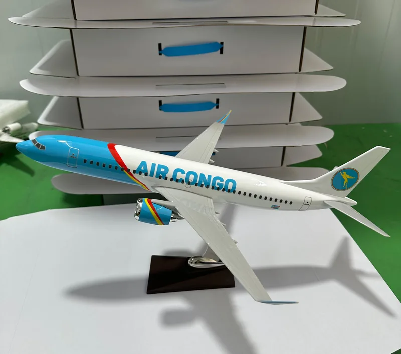 /images/clients/products/transport/air Congo/air Congo Cooler Bag