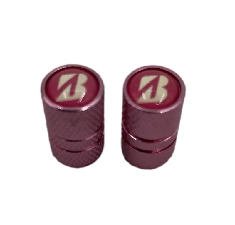/images/clients/products/transport/bridgestone/bridgestone Tire Gauge