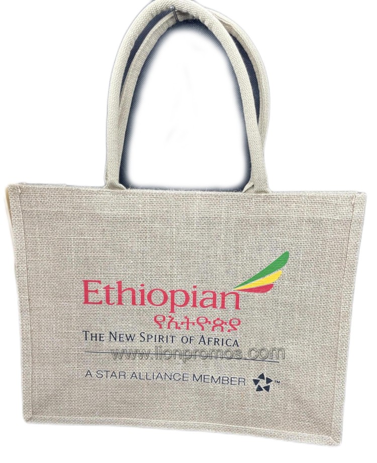 Ethiopian Airlines project photo 8