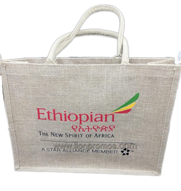 Ethiopian Airlines project photo 9