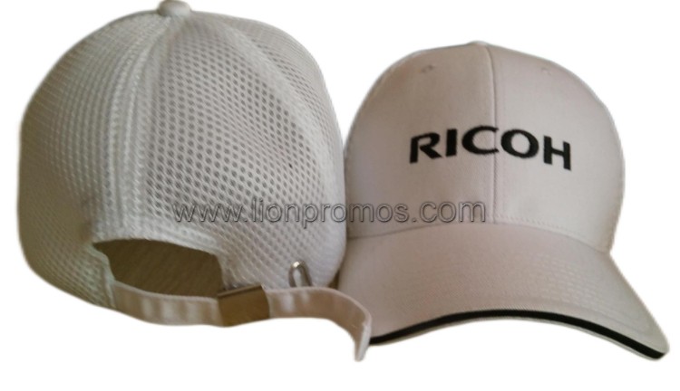 RICOH project photo 7